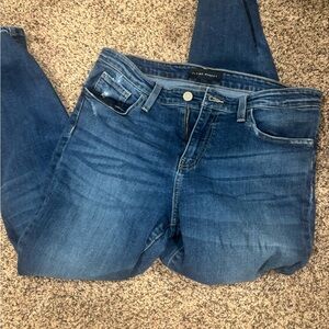 Flying Monkey Deep Blue Skinny Jeans